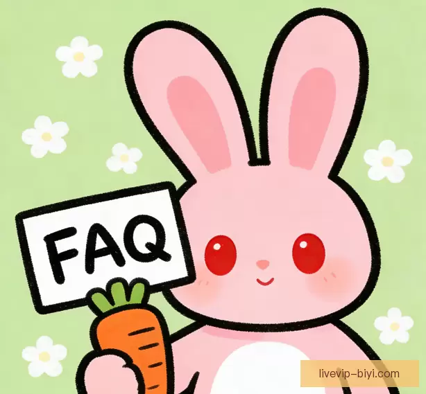 新手常见问题